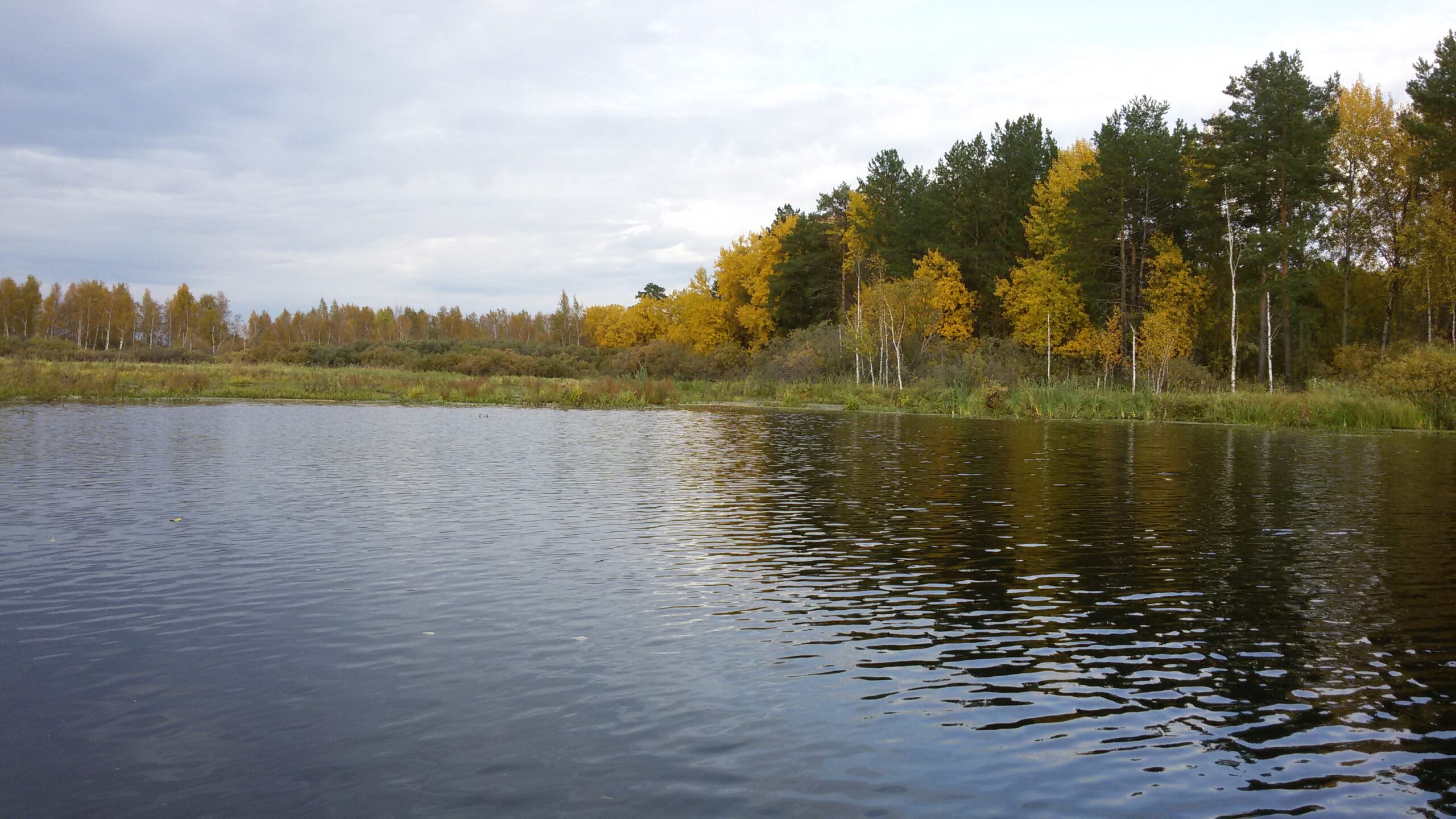 Загрязнение воды