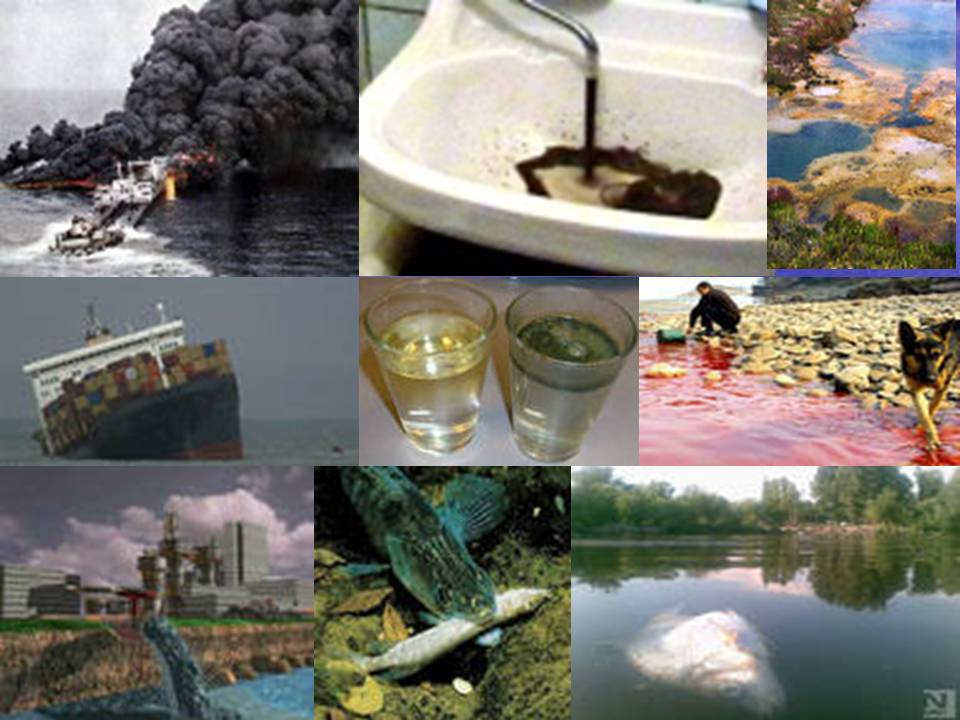 Экологическое качество воды