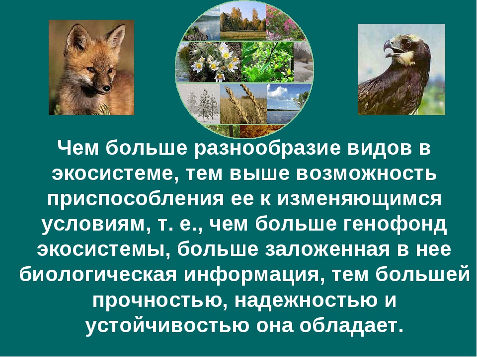 Федерального проекта сохранение биологического разнообразия и развитие экологического туризма