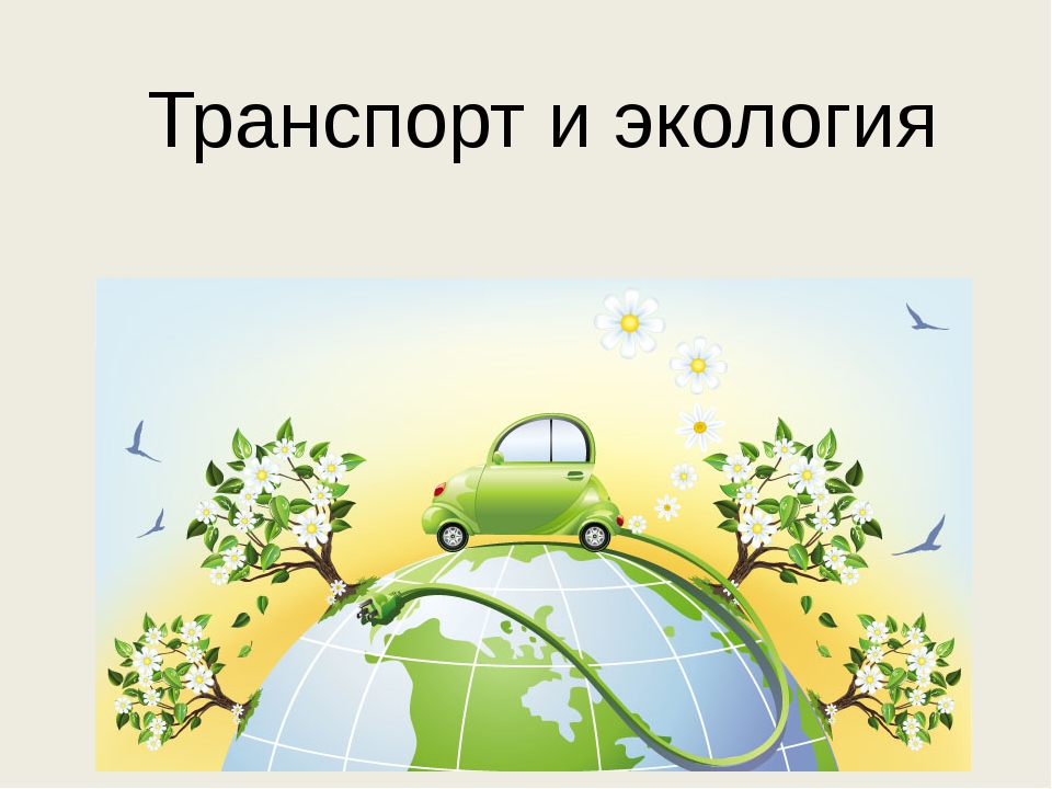 Проект по экологии загрязнение окружающей среды автотранспортом