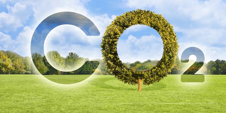 Декарбонизация