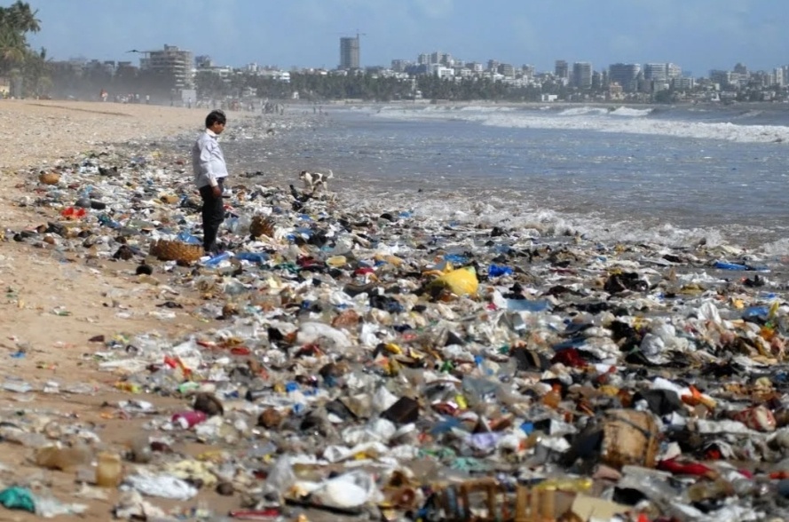 Куда исчезает мусор в океане