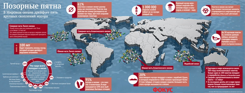 Куда исчезает мусор в океане